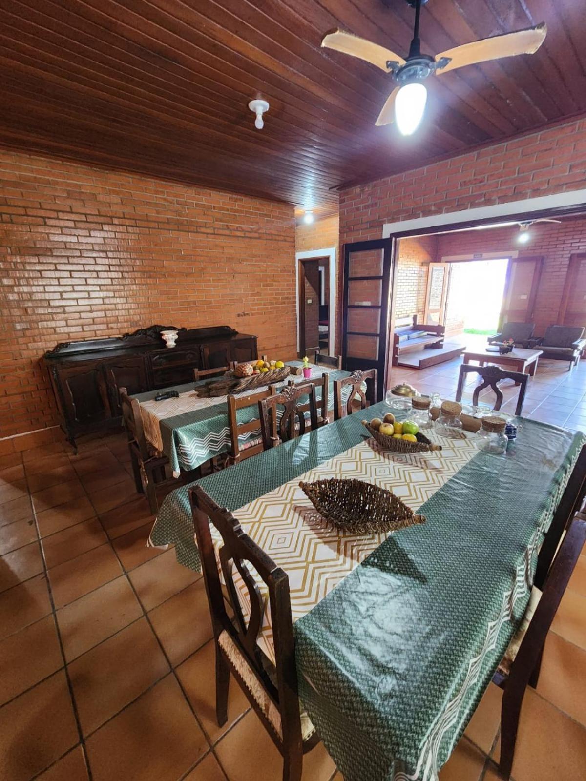 Jequitiba